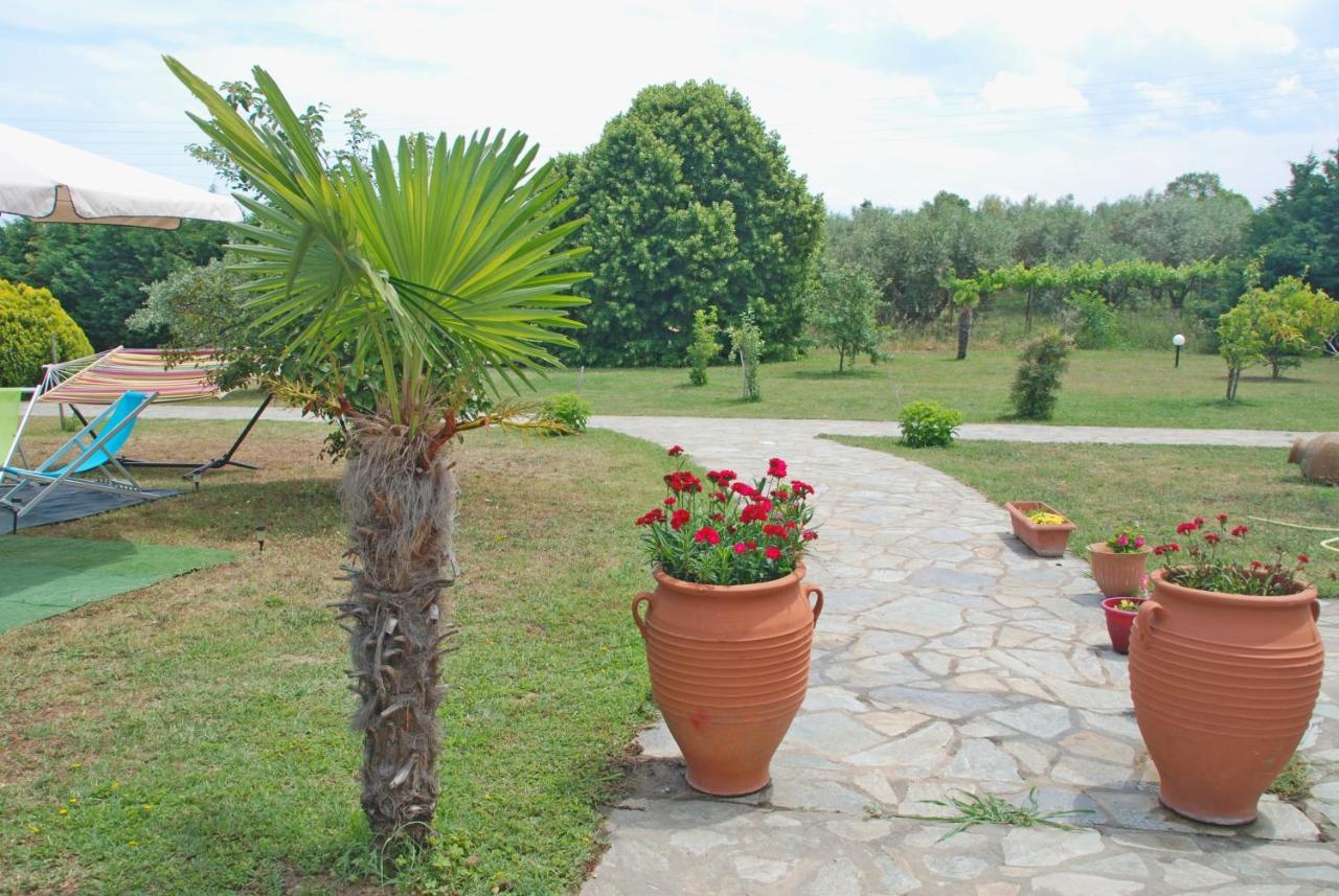 Casa Consta Olympus Villa Litochoro Exterior photo